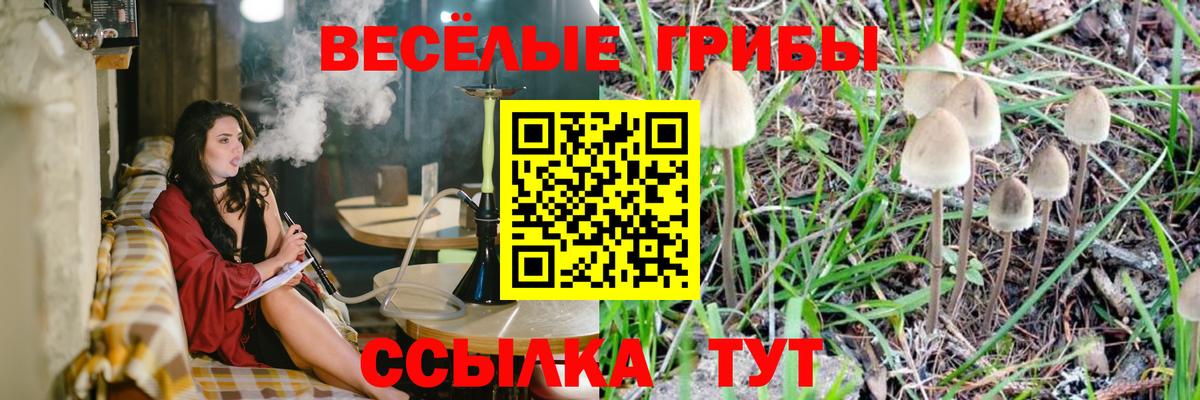 Галлюциногенные грибы мицелий  Вход с VPN  Зима 